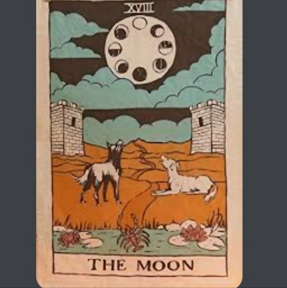Bohemian Wall Tapestry fabric wall hang tarot card the moon wolves